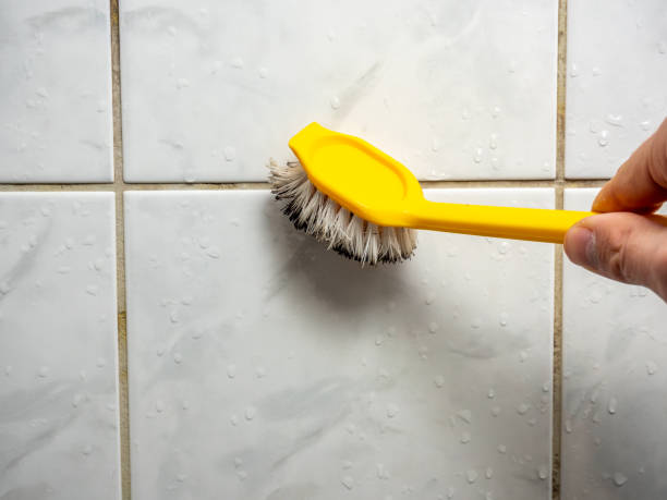 Best Toxic Mold Removal  in Ferdand, IN