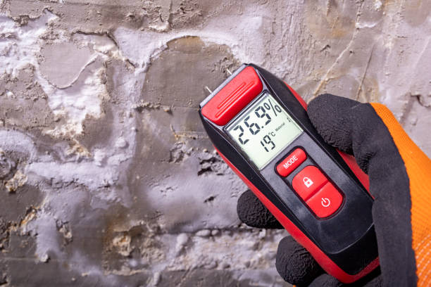 Certified Mold Removal in Ferdinand, IN