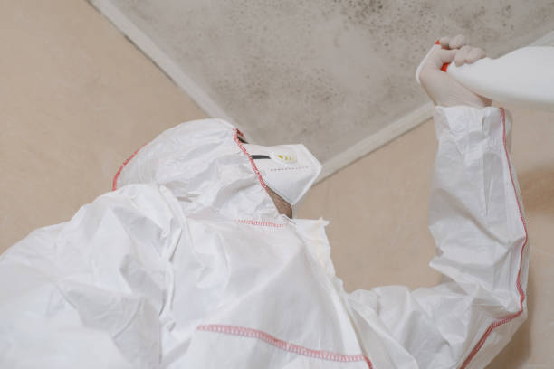Best Attic Mold Removal  in Ferdand, IN