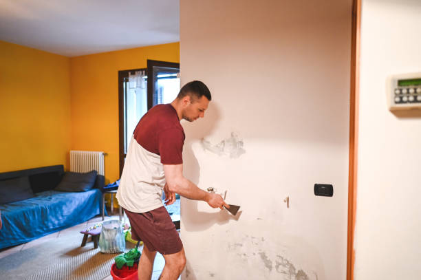 Best Fast Mold Removal  in Ferdand, IN